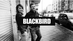 4FT Blackbird