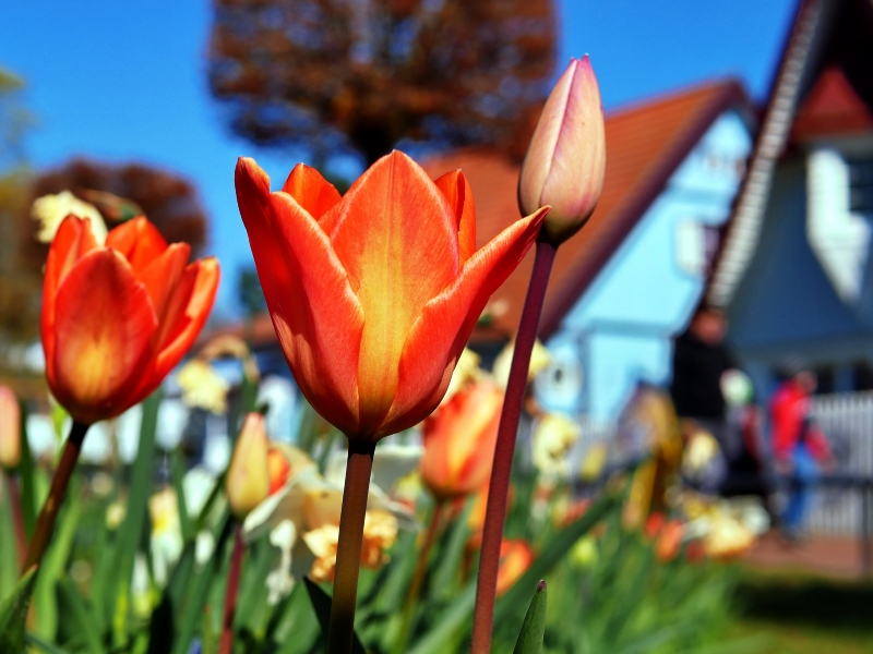 Ostern im Ostseebad Boltenhagen