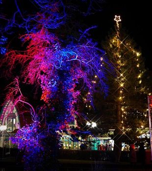 3 FT Wintermarkt 29.12.2017 P1070597-1