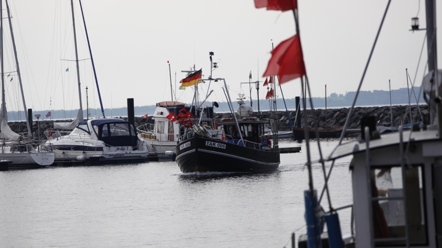 Unternehmen Sie eine 3-stündige Ausfahrt mit dem Fischkutter Uschi