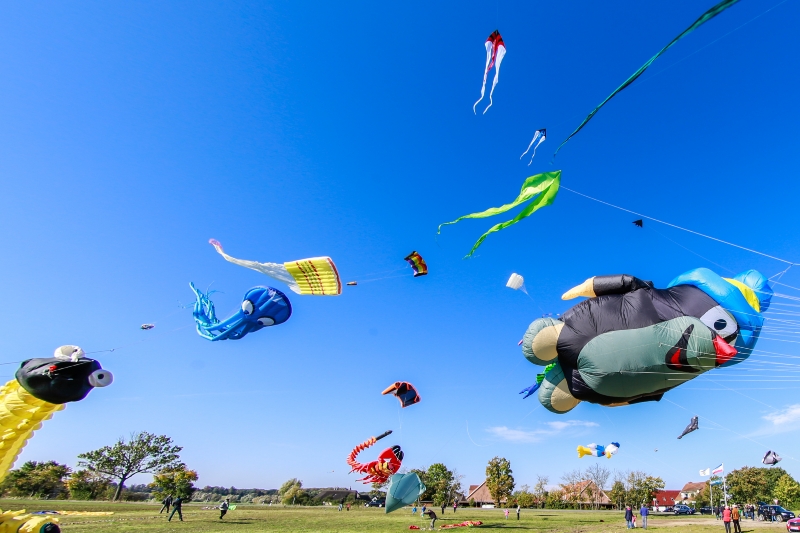 Drachen fliegen im Himmel beim Drachenfest