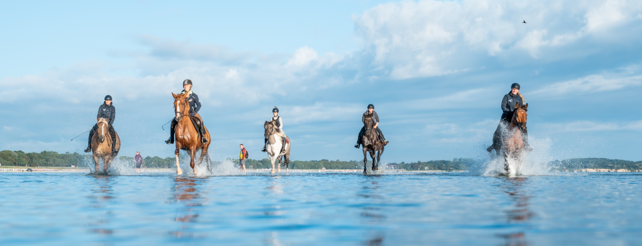 Reiten am Strand