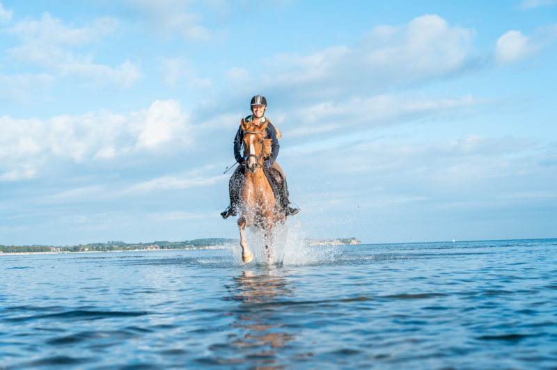 Reiten durch die Ostsee