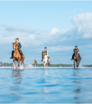 reiten_strand