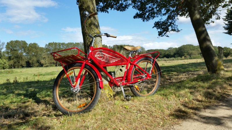 Dieses Fahrrad können Sie sich bei way2bike ausleihen.