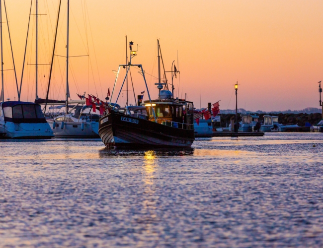 Kutter in der Weißen Wiek mit fangfrischem Fisch
