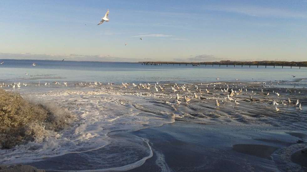 © Kurverwaltung Ostseebad Boltenhagen